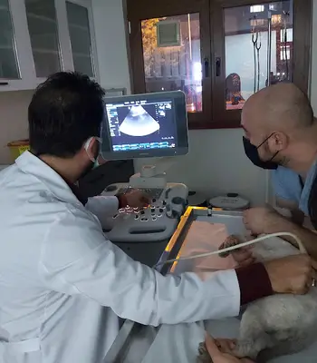 Adakent Veteriner Kliniği