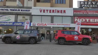 Gisa Veteriner Kliniği I Nilüfer Veteriner | Osmangazi Veteriner | Mudanya Veteriner