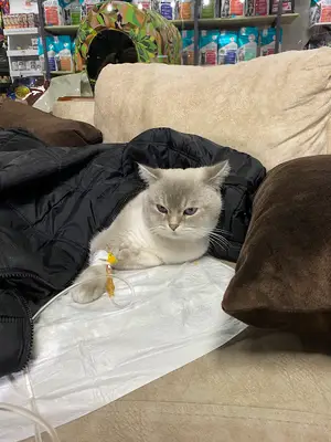 Ejder Veteriner Kliniği