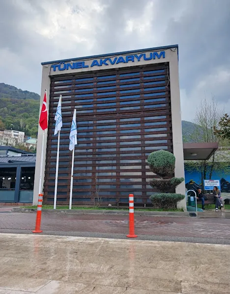 Tünel Akvaryum foto 2
