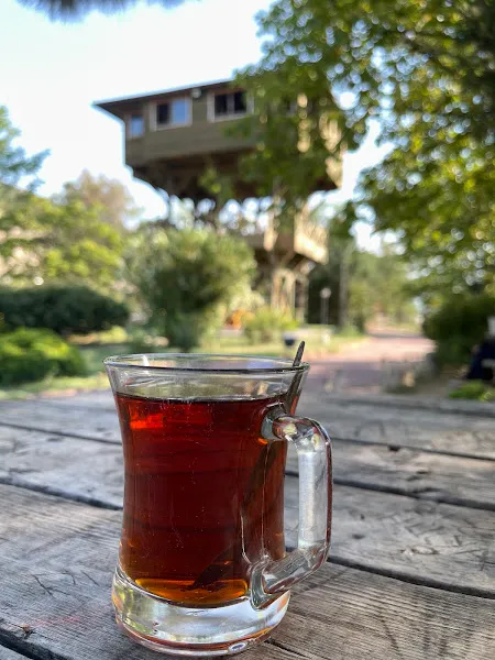 Kuş Gözleme Evi Çay Bahçesi foto 2