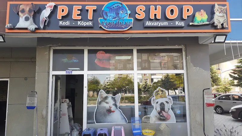 Mekân Malawi Petshop & Akvaryum foto 1