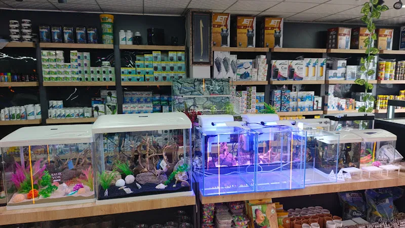 Mekân Malawi Petshop & Akvaryum foto 2