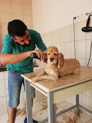 Pets inn veteriner kliniği
