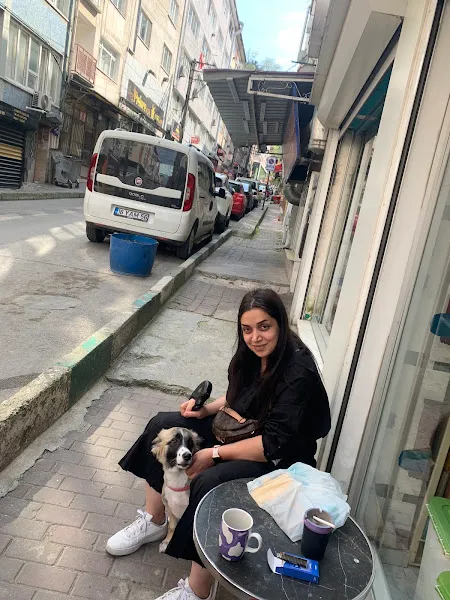 Best Vet Veteriner Muayenehanesi foto 2