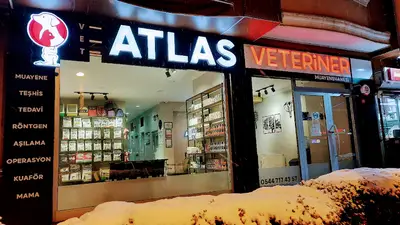 VetAtlas Veteriner Kliniği Beylikdüzü