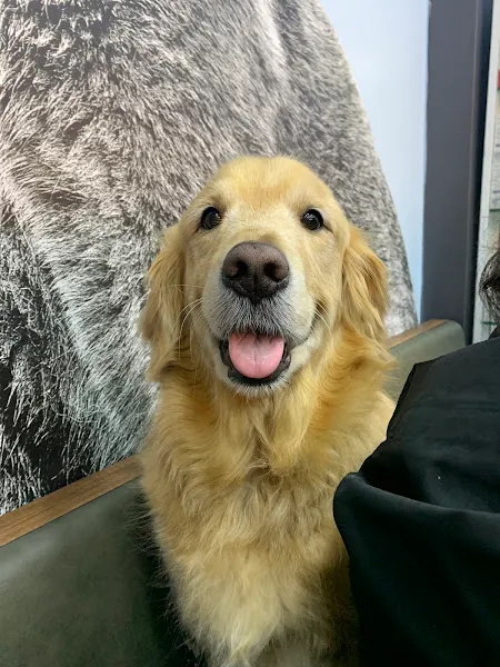 Vet-Ce Veteriner Kliniği foto 2