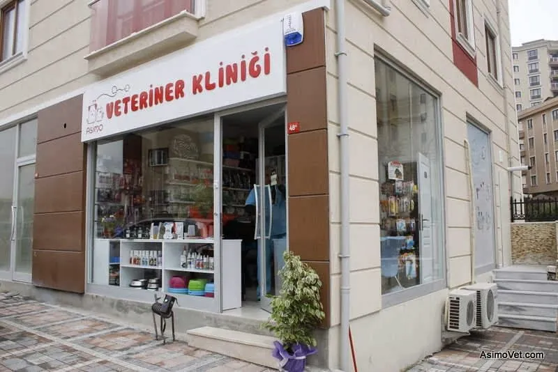 Asimo Veteriner Kliniği foto 2