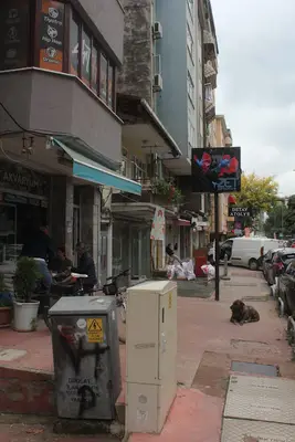zet akvaryum