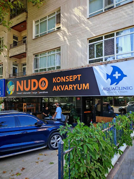 Nudo Konsept Akvaryum foto 1