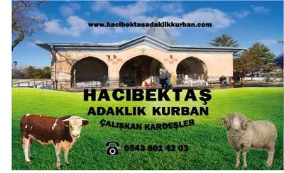 Hacıbektaş Adaklık Kurbanlık | Çalışkan Kardeşler