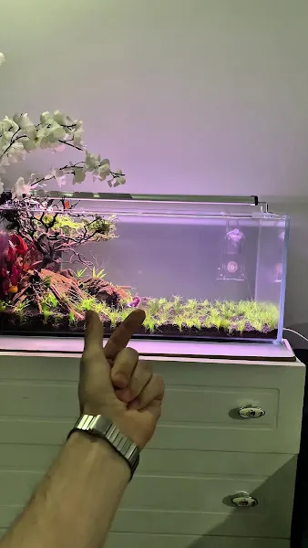 Guppy Center Petshop foto 2