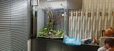 Bursa Aqua Farm fotoğrafı