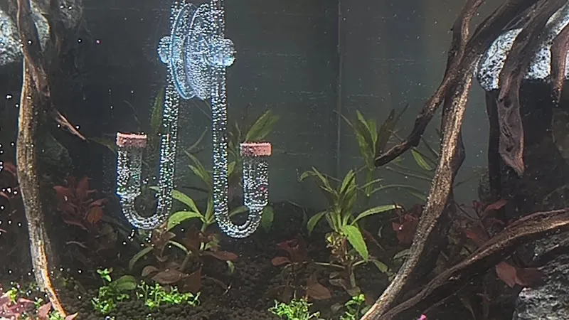 Bursa Aqua Farm foto 2