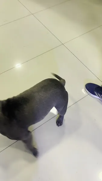 Aquarubi foto 2