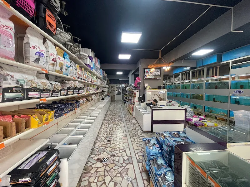 Yıldız Akvaryum & Petshop foto 2