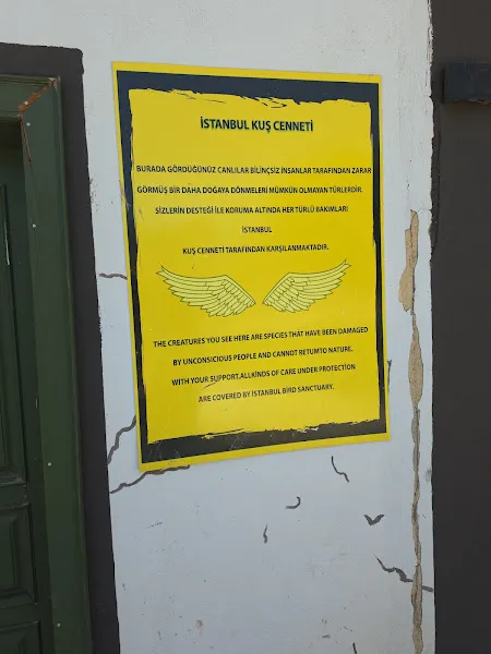 İstanbul Kuş Cenneti foto 2