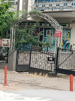 Okyanus Akvaryum Pet Store