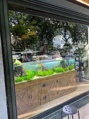 Adist Aquascaping Galeri