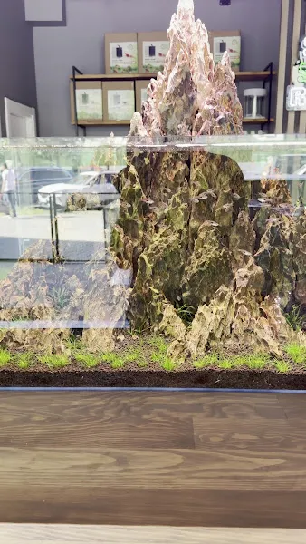 Adist Aquascaping Galeri foto 2