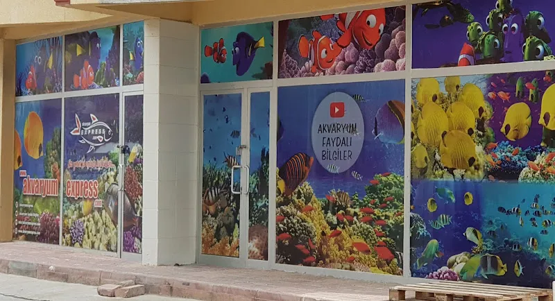 Akvaryum Express gebze pet shop foto 1