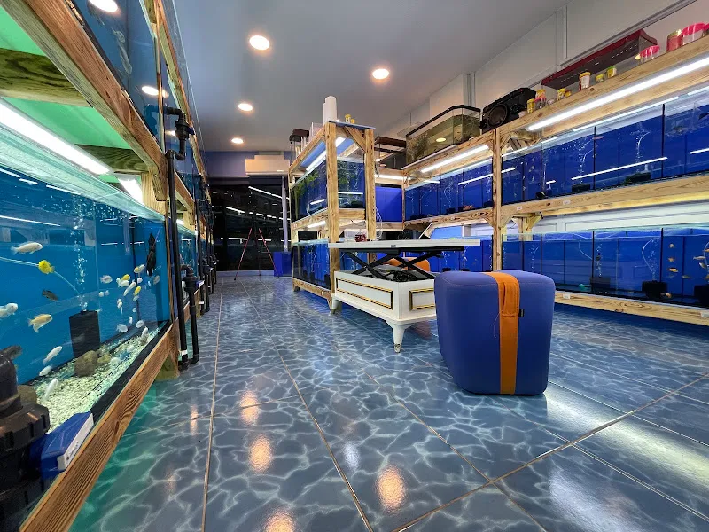 Akvaryum Express gebze pet shop foto 2