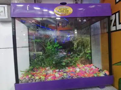 DEMİRCAN PET SHOP