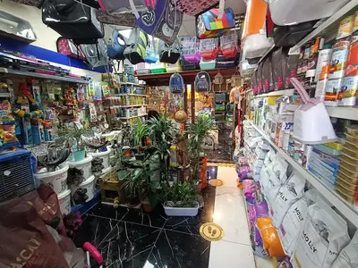 Destan Akvaryum ve pet Market