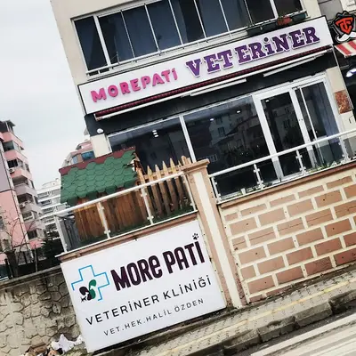 Morepati Veteriner Kliniği