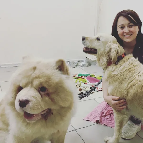 Vets&Pets Veteriner Kliniği-Şebnem Beşevlek foto 2