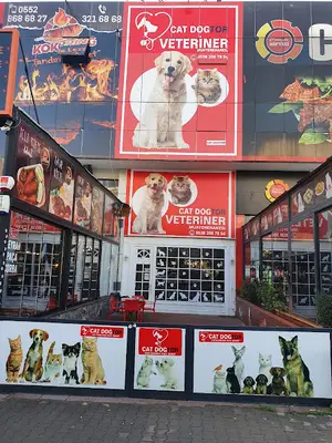Veteriner Cat Dogtor