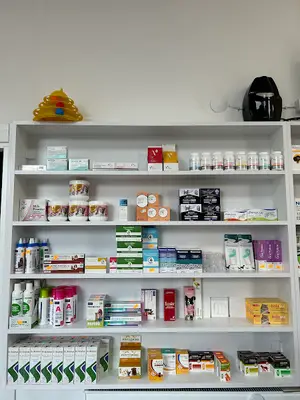 İnönü Veteriner Kliniği