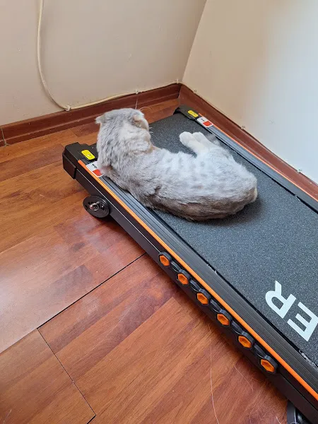 İnönü Veteriner Kliniği foto 2