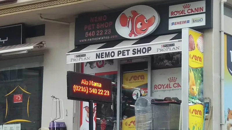 Nemo Pet Shop foto 1