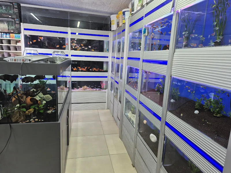 Alf Pet Shop ve Akvaryum foto 2
