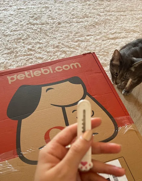 petlebi foto 2