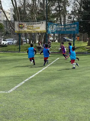 Akvaryum Spor Tesisleri