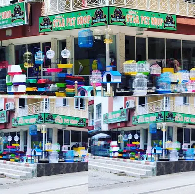 Dokuz Petshop