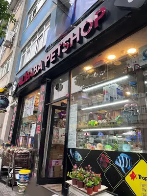Ali Baba Pet Shop
