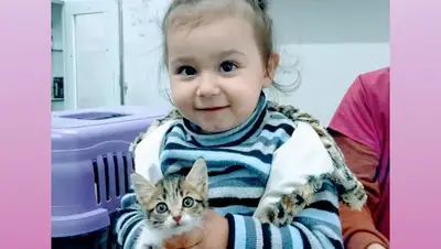 Acar veteriner kliniği