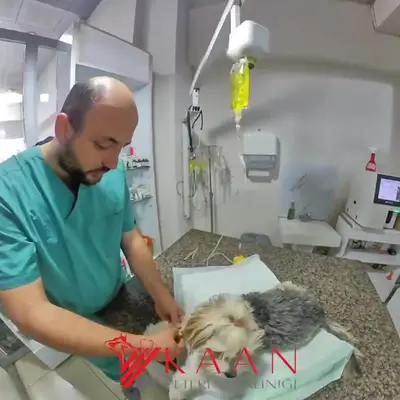Kaan Veteriner Kliniği
