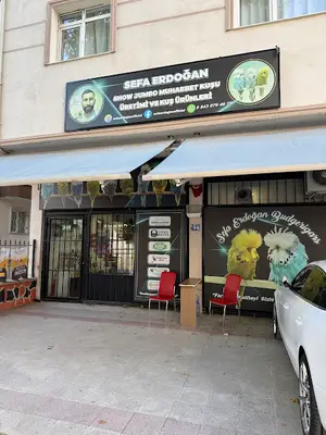 Sefa Erdoğan Show Jumbo Muhabbet Kuşu Üretimi ve Kuş Ürünleri / Sefa Erdoğan Pet
