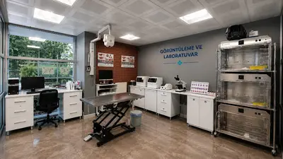 Petalya Veteriner Kliniği Çankaya Birlik