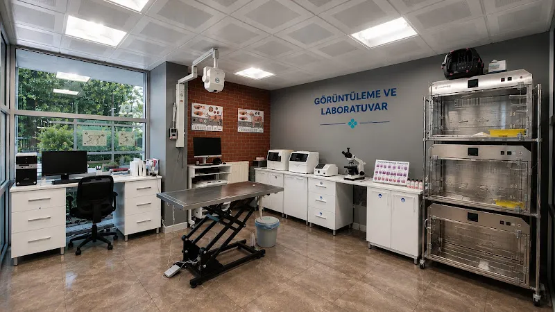 Petalya Veteriner Kliniği Çankaya Birlik foto 1