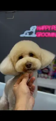 Happy Pet Kuaförü
