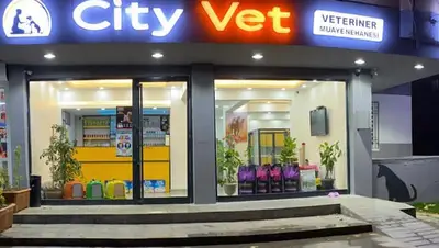 City Vet Veteriner Kliniği