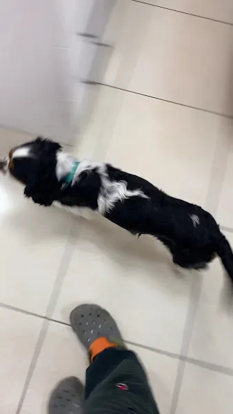 Monovet Veteriner Kliniği foto 2