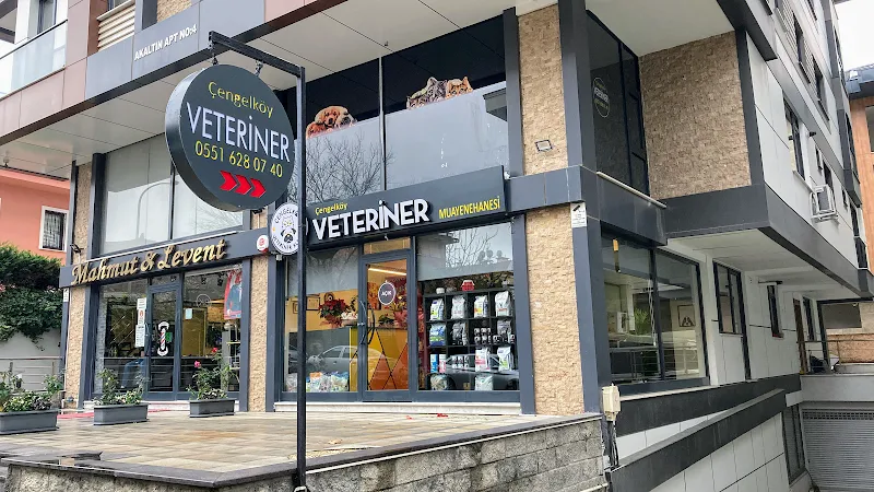 Çengelköy Veteriner Kliniği foto 1