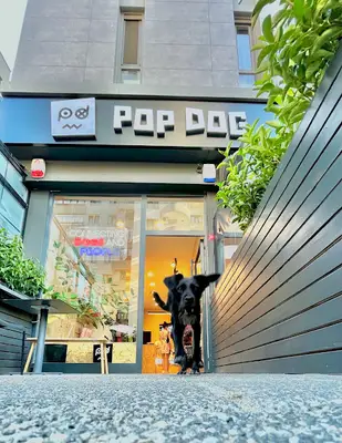 Popdog Caddebostan | Pet Store · Grooming · Café