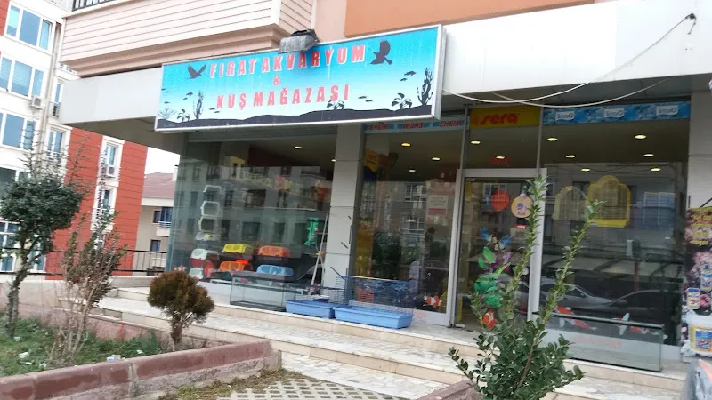 FIRAT AKVARYUM & KUŞMAĞAZASI foto 1